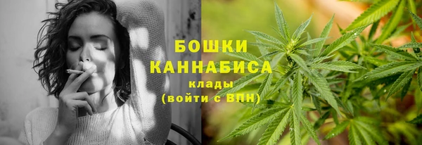 прущие грибы Верхнеуральск