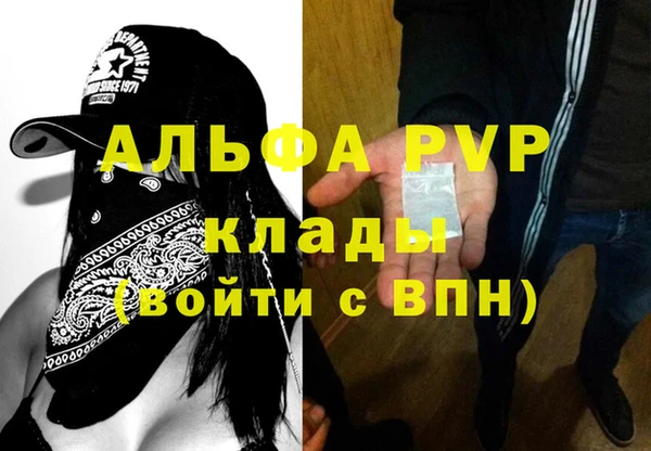 прущие грибы Верхнеуральск