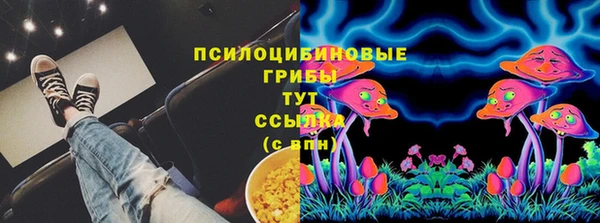 PSILOCYBIN Бородино