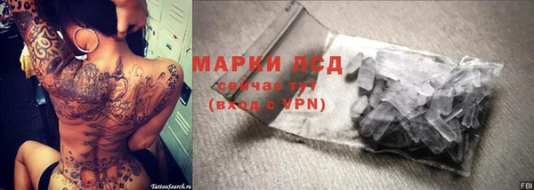 прущие грибы Верхнеуральск