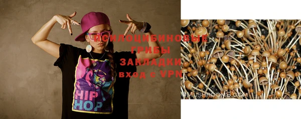 PSILOCYBIN Бородино
